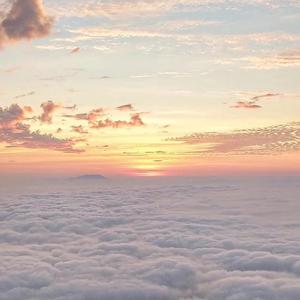 欧美人与禽性猛交狂性摘花
